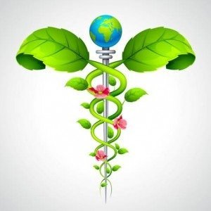 holistic treatment