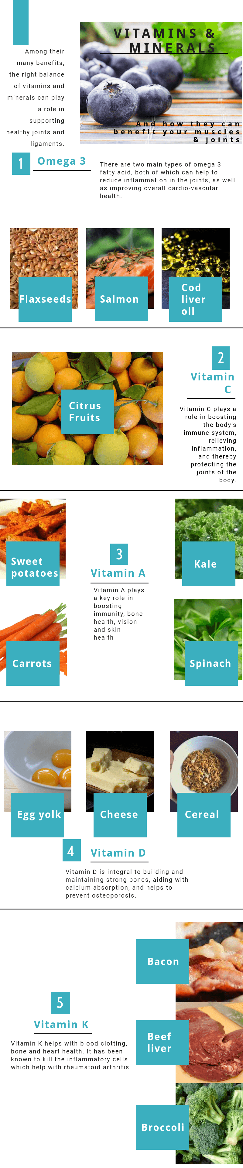 Vitamins and Minerals Infographic