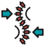 spine icon