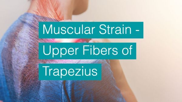 Muscular Strain - Upper Fibers of Trapezius bodytonic clinic SE16 London