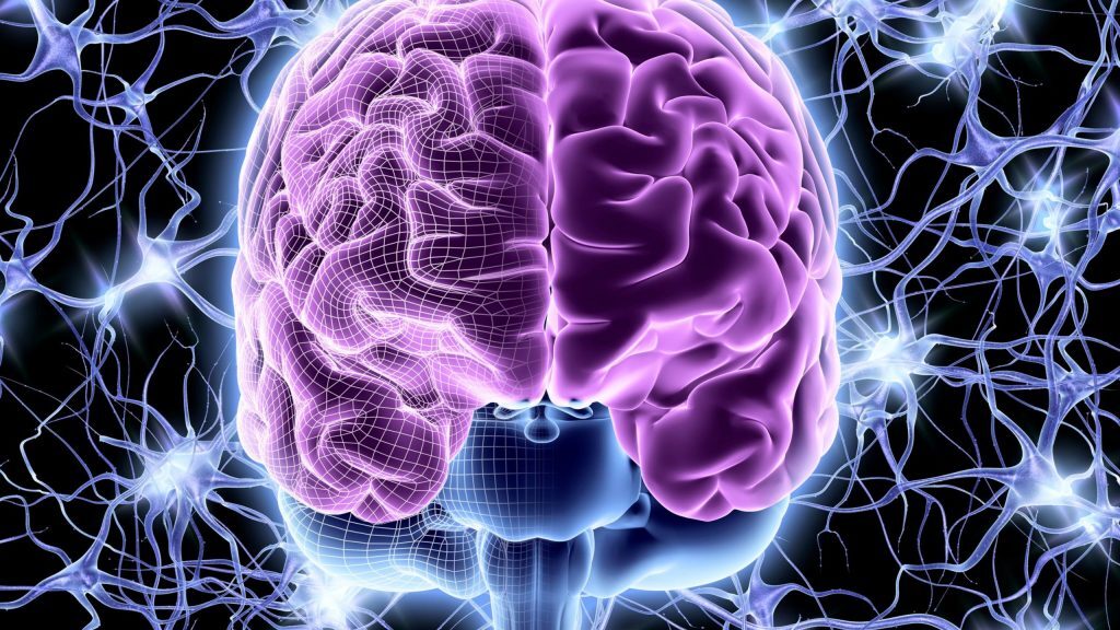 Boosted Cognitive Function