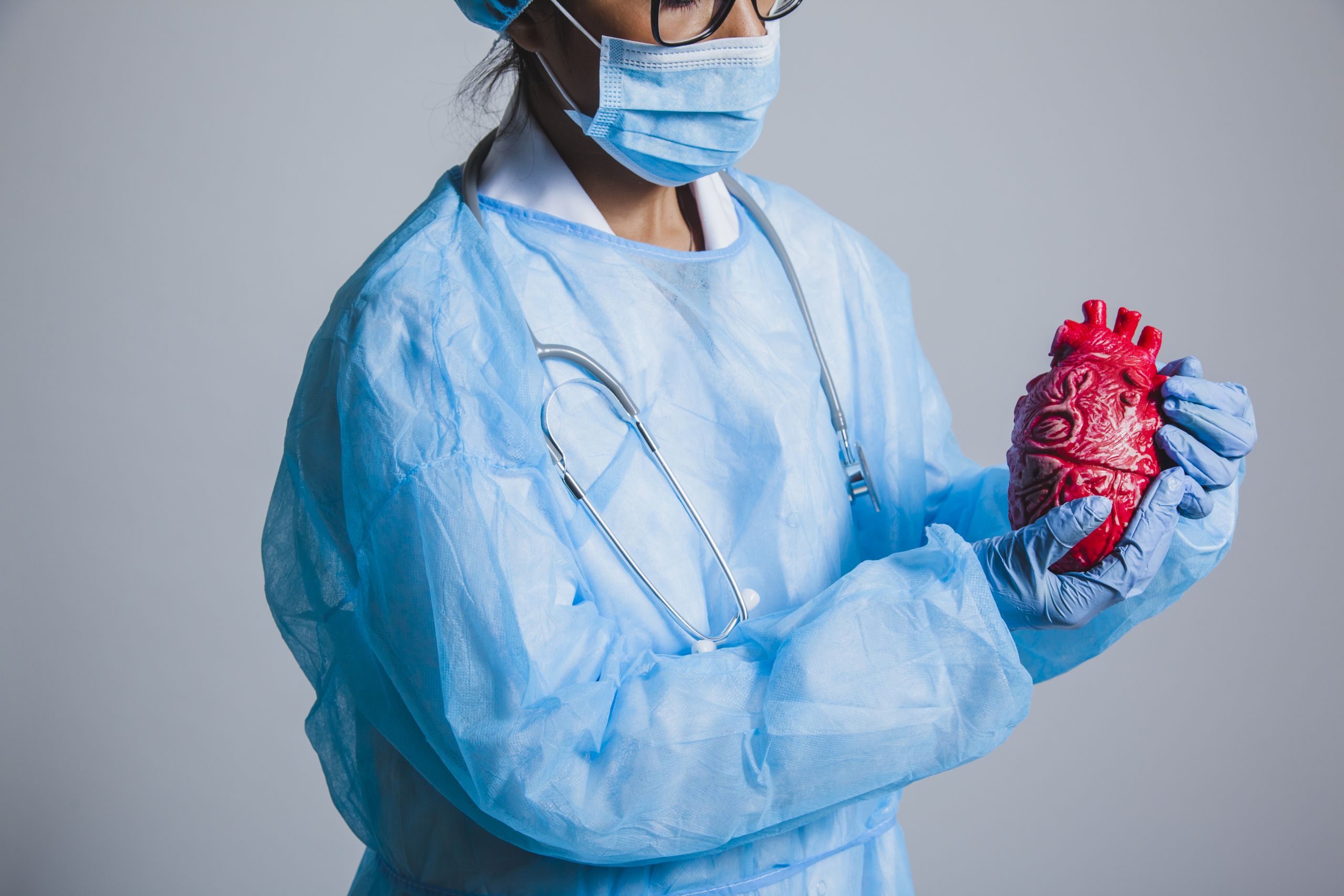 A medical professional in full protective gear, including a mask, gloves, and gown, holds a detailed anatomical model of a human heart, illustrating cardiac health or education.