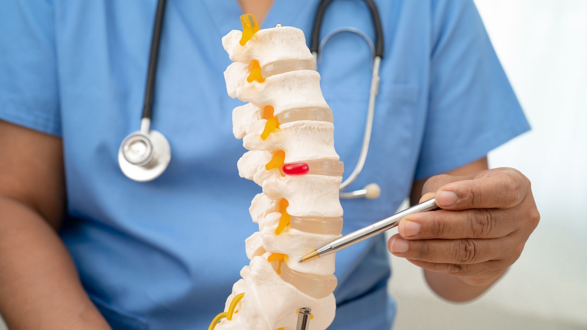 A doctor in blue scrubs holding a model of the human spine, pointing at a section with a pen.