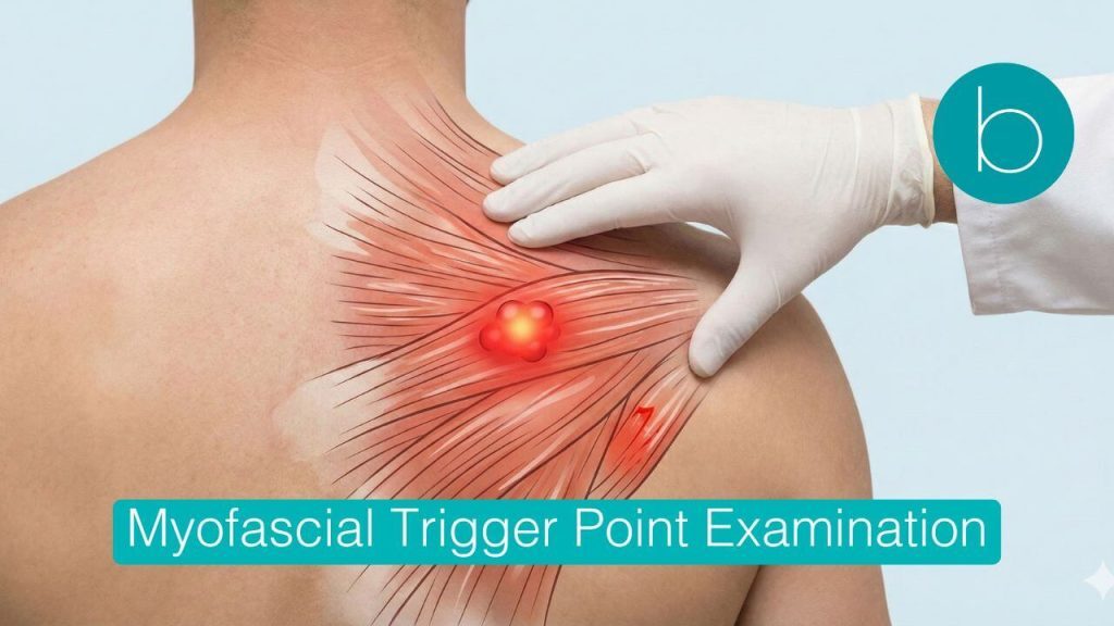 A clinician palpates a patient's shoulder muscle, with a graphic overlay indicating a glowing red trigger point knot and associated referred pain patterns.