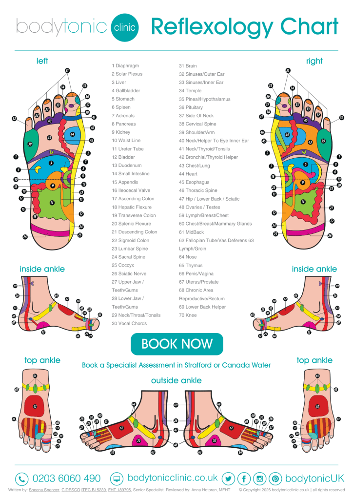 Official Bodytonic Clinic Reflexology Foot Chart 2026. Detailed map of foot pressure points for back pain, sciatica, and digestion. Reviewed by Anna Hotoran, MFHT and Sheena Spencer MFHT